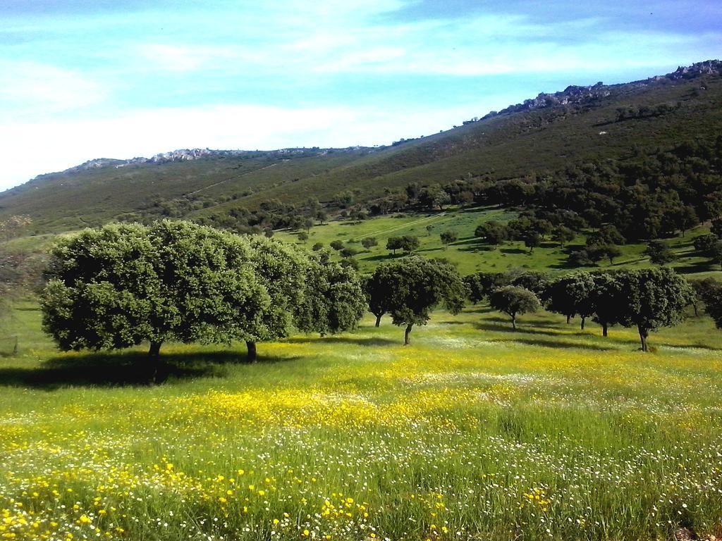 Casa Rural La Sierra De Monfraguee Malpartida De Plasencia Zewnętrze zdjęcie